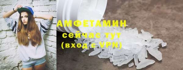 прущие грибы Аркадак