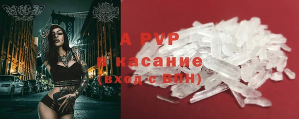 шишки Балахна