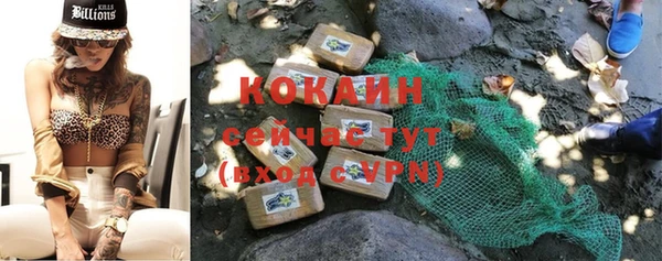 шишки Балахна