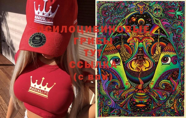 шишки Балахна