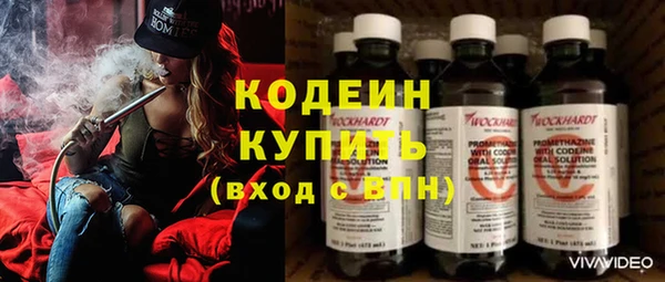 шишки Балахна